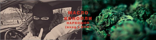 индика Горняк