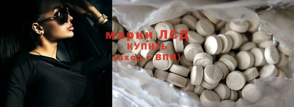 индика Горняк