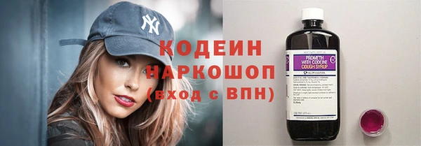 индика Горняк