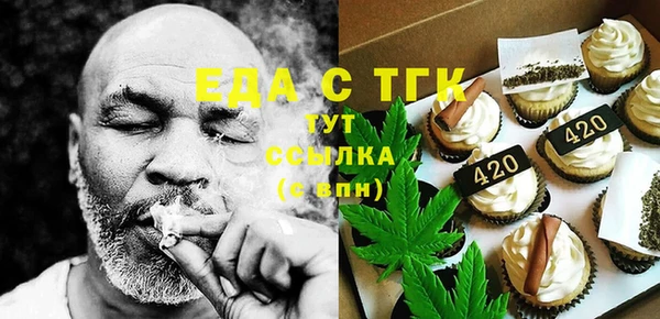 индика Горняк