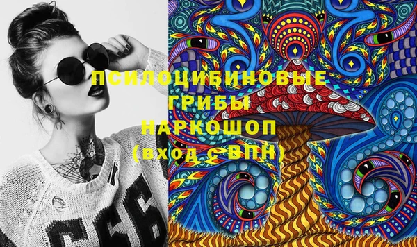 индика Горняк