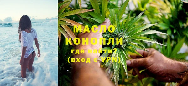 индика Горняк