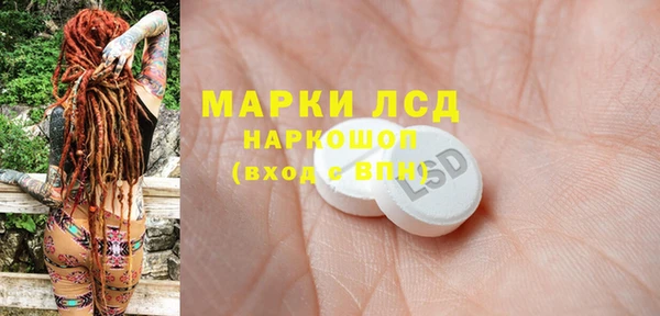 индика Горняк