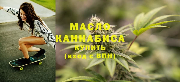 индика Горняк