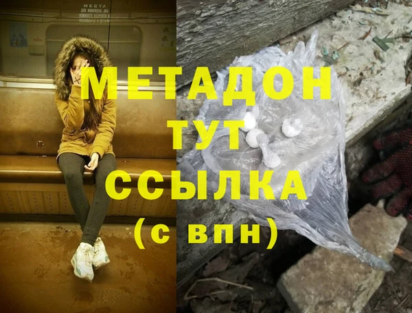 индика Горняк