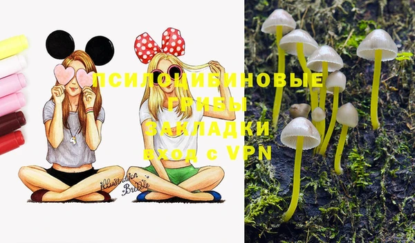 индика Горняк