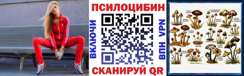 Галлюциногенные грибы Magic Shrooms  MEGA вход  Южа 